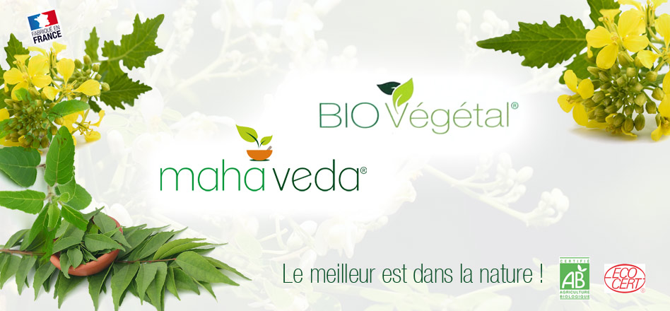 Phytosud compléments alimentaires bio et naturel